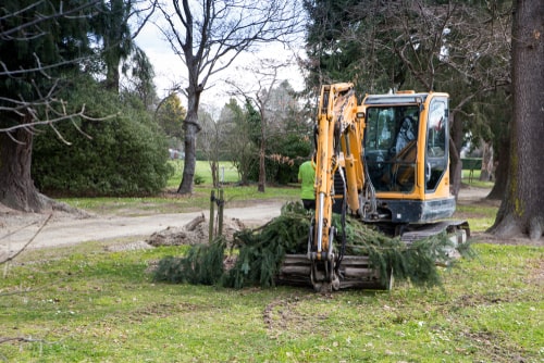 pruning trees using a mini digger